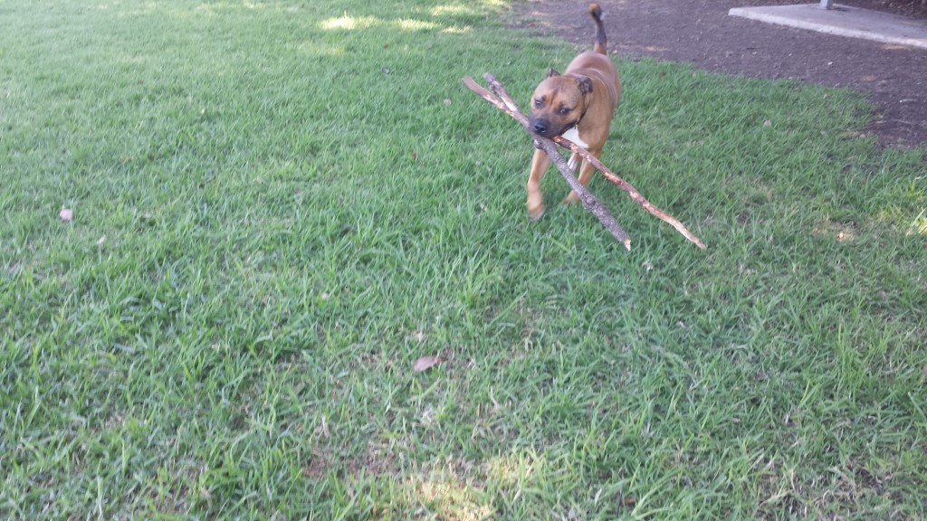 2 sticks